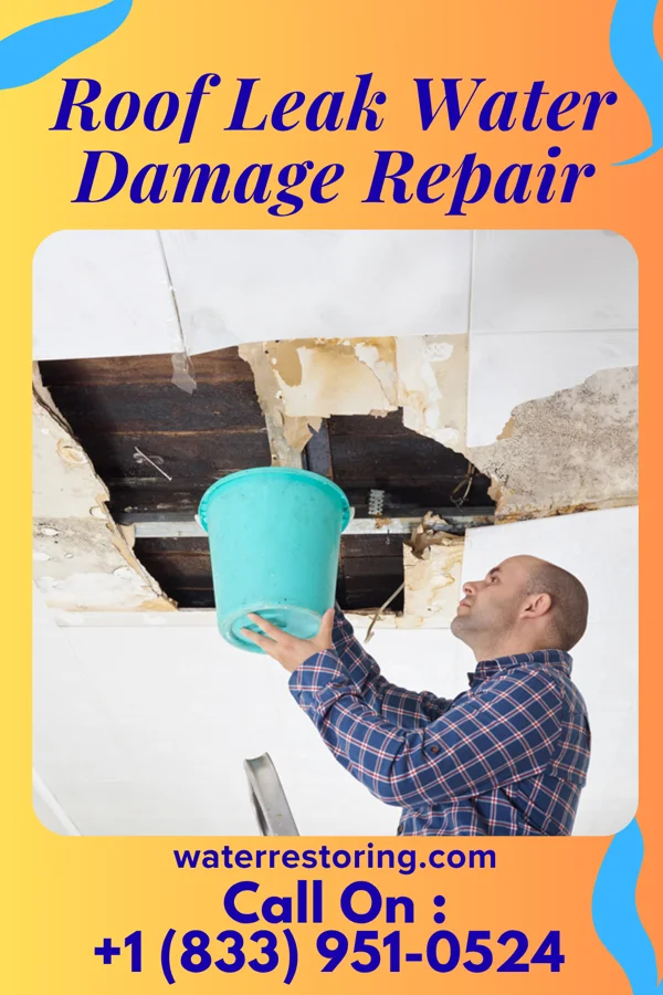 Roof Leak Water Damage Repair in Holdingford, MN