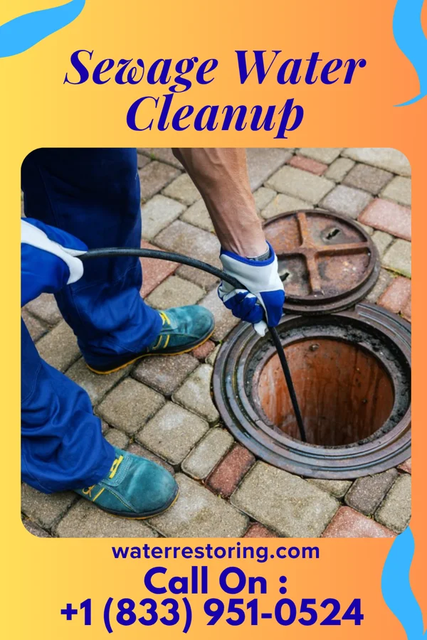 Sewage Water Cleanup in Holdingford, MN
